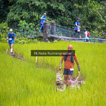 Runner Photo 93331