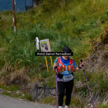 Runner Photo 93480