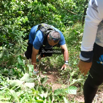Runner Photo 93847