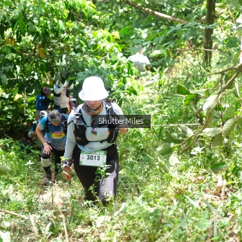 Runner Photo 93870