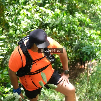 Runner Photo 93876