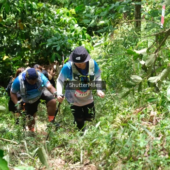 Runner Photo 93895