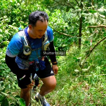 Runner Photo 93896