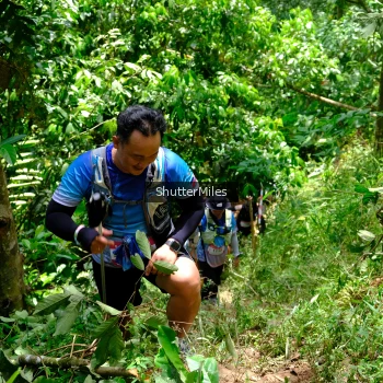 Runner Photo 93897