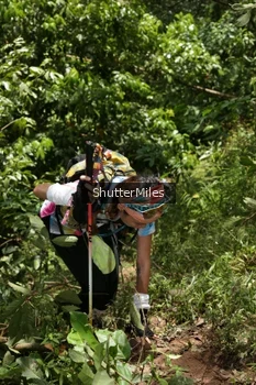Runner Photo 93913