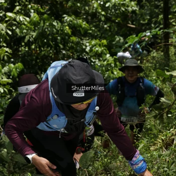 Runner Photo 93996