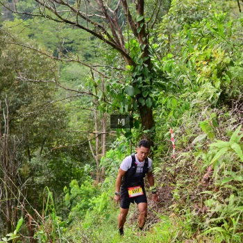 Runner Photo 94064