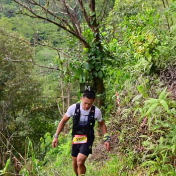 Runner Photo 94073