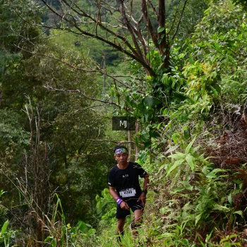 Runner Photo 94080