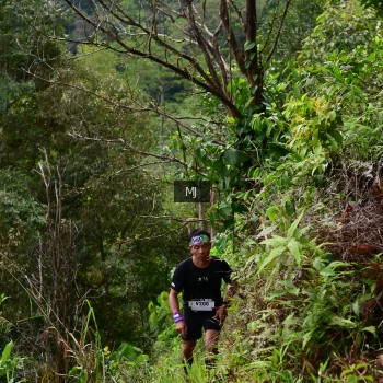Runner Photo 94083