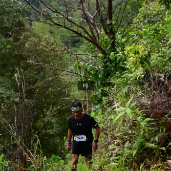 Runner Photo 94086