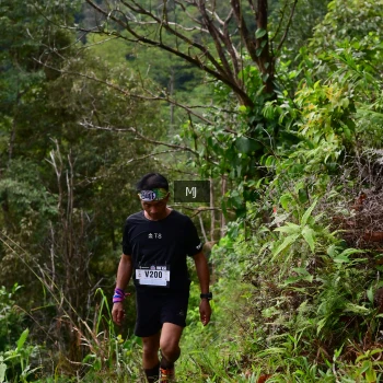 Runner Photo 94092