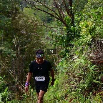 Runner Photo 94094