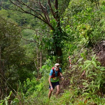 Runner Photo 94097