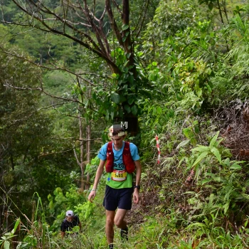 Runner Photo 94104
