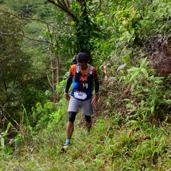 Runner Photo 94146