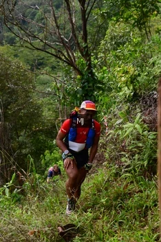 Runner Photo 94179