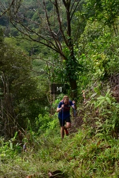 Runner Photo 94181