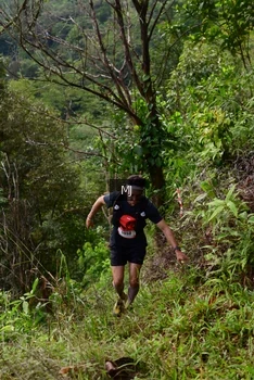 Runner Photo 94214