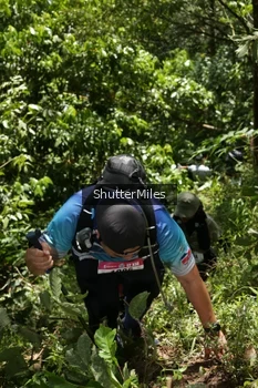 Runner Photo 94222