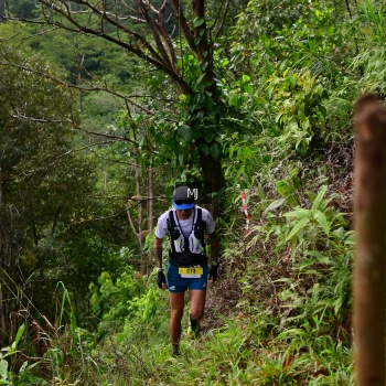 Runner Photo 94262
