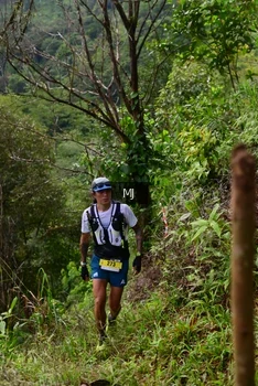 Runner Photo 94267