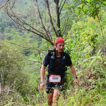 Runner Photo 94301
