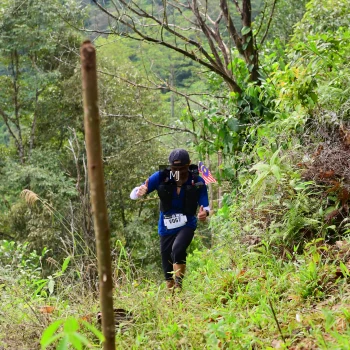 Runner Photo 94307