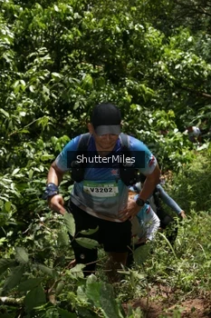 Runner Photo 94332