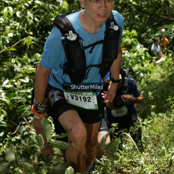 Runner Photo 94342