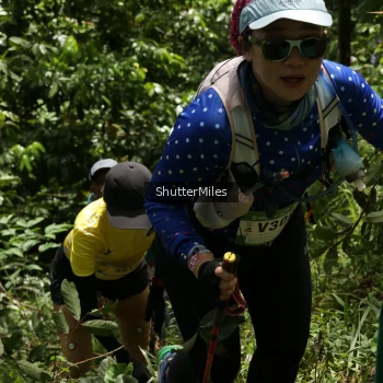 Runner Photo 94442