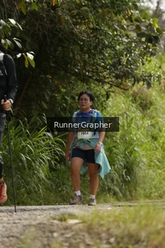 Runner Photo 94471