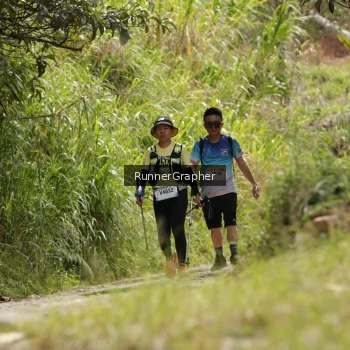 Runner Photo 94487