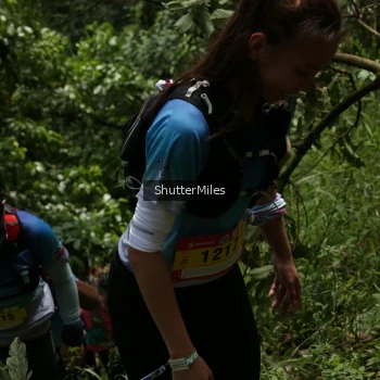 Runner Photo 94496