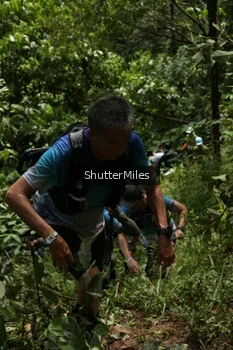 Runner Photo 94569