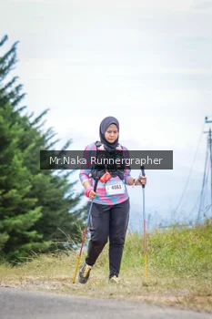 Runner Photo 94595
