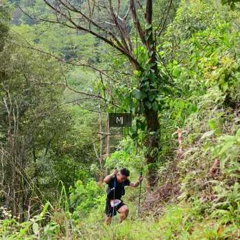 Runner Photo 94607