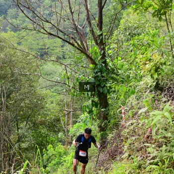 Runner Photo 94613