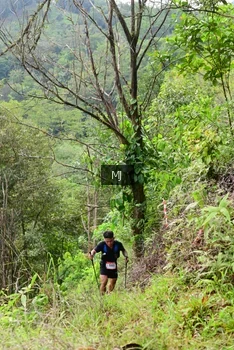 Runner Photo 94618