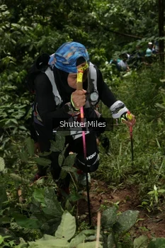 Runner Photo 94681