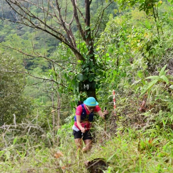 Runner Photo 94698