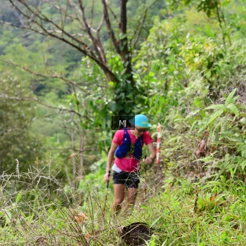 Runner Photo 94704