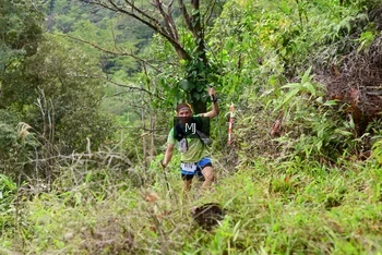 Runner Photo 94712