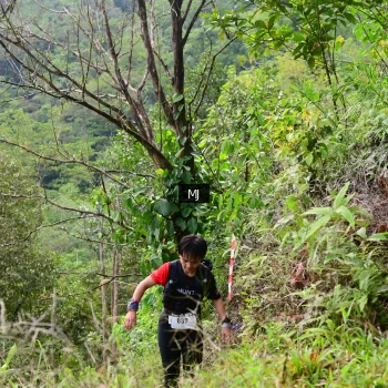 Runner Photo 94734