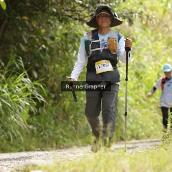 Runner Photo 94801