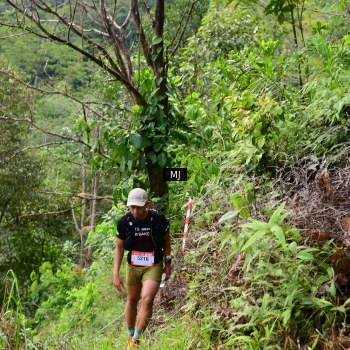 Runner Photo 94836