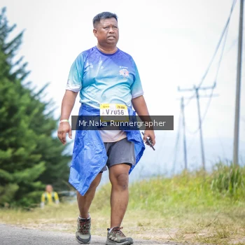 Runner Photo 94841