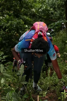 Runner Photo 95028