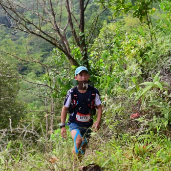 Runner Photo 95068