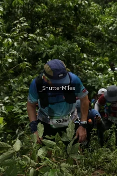 Runner Photo 95089